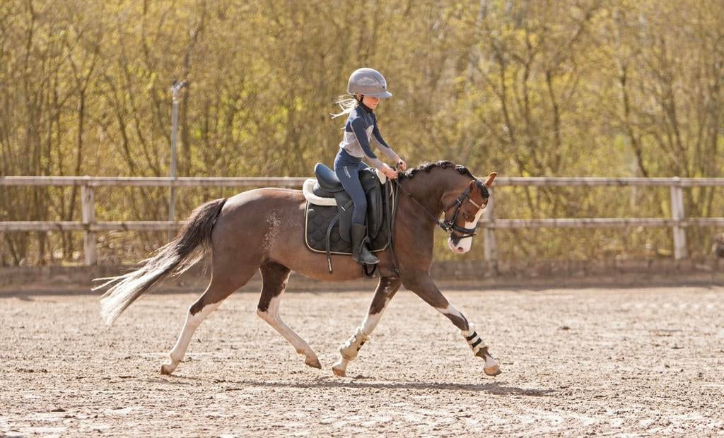 Zadelmak maken & doorrijden pony’s en paarden, Ruiter of Bijrijder