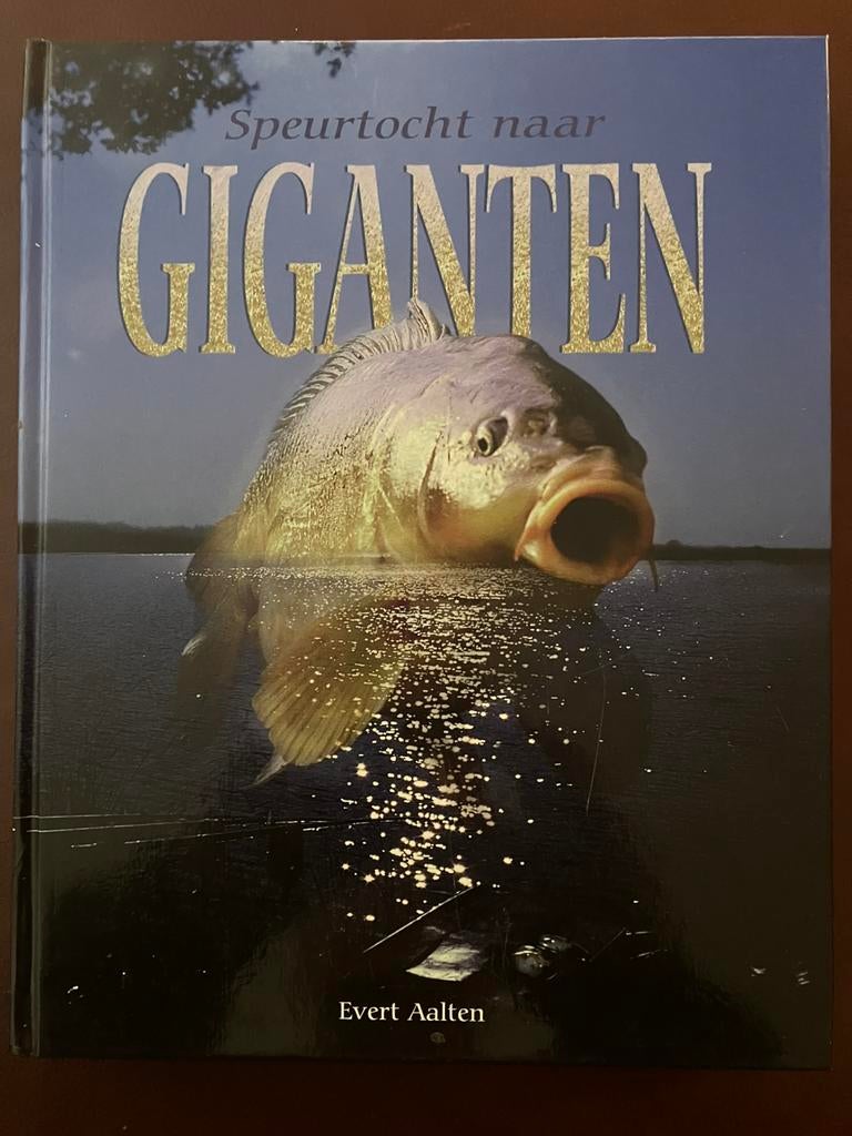 Speurtocht naar Giganten Evert Aalten, Watersport en Boten, Ophalen of Verzenden, Zo goed als nieuw, Overige typen