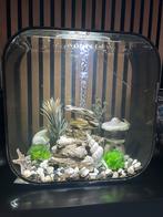 Biorb aquarium (30liter) met accessoires, Dieren en Toebehoren, Ophalen, Leeg aquarium
