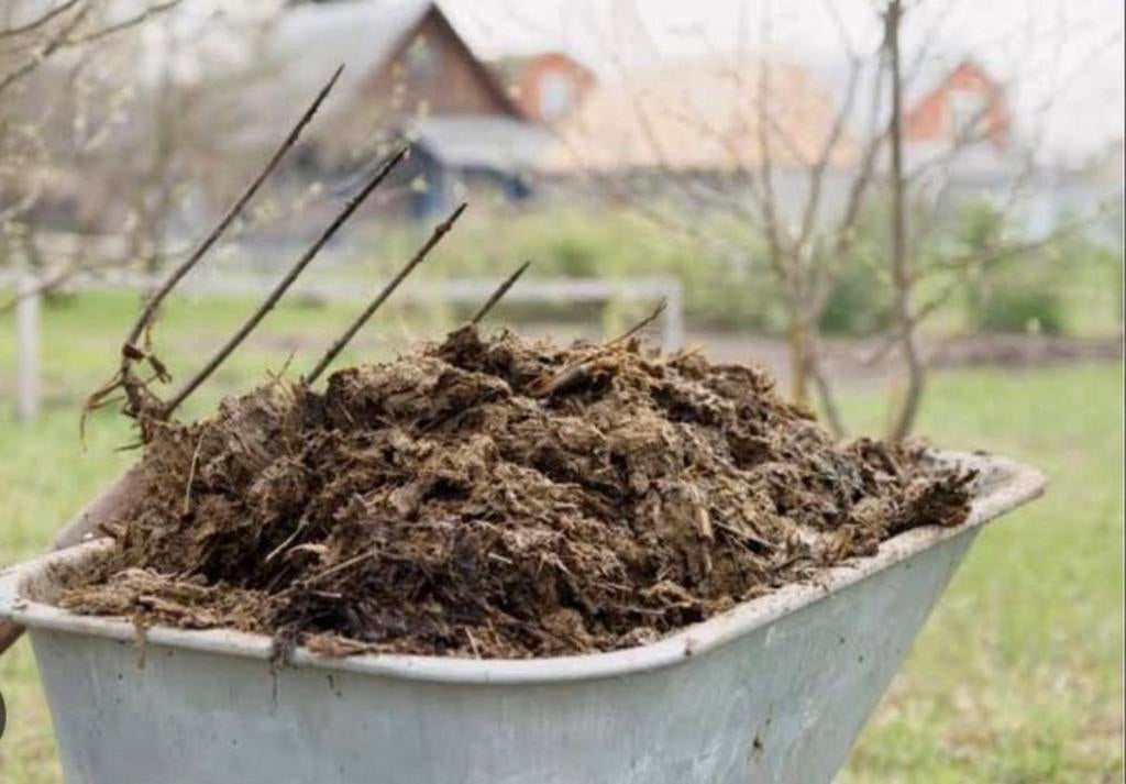 Gratis paardenmest, Ophalen, Tuinaarde