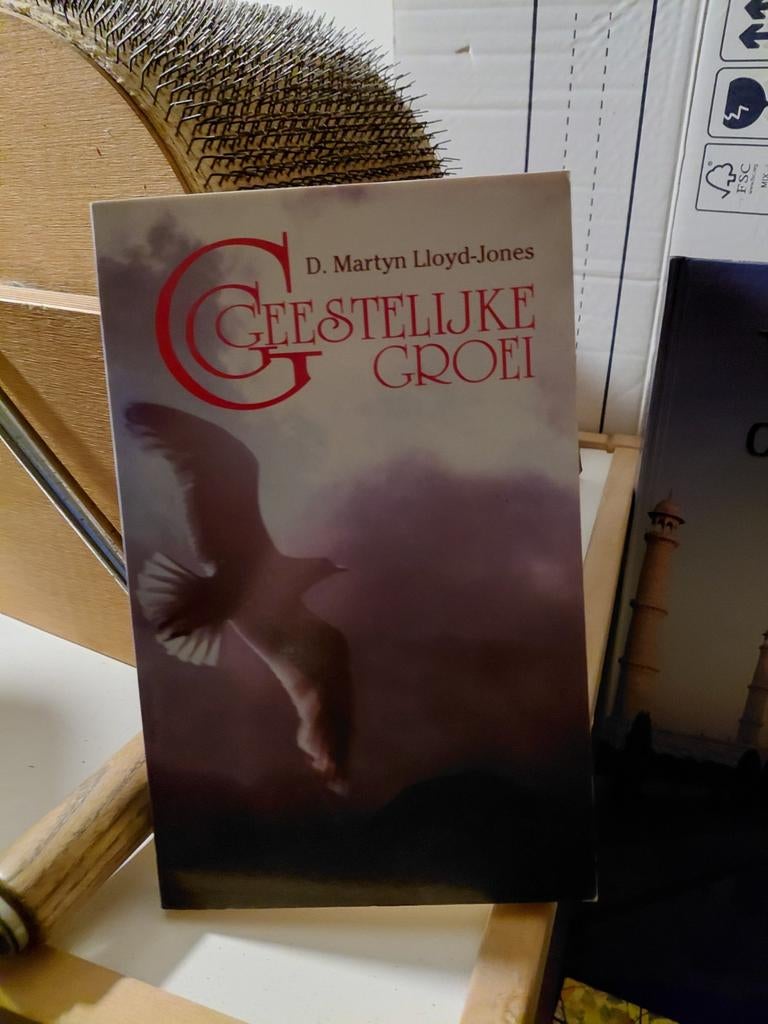 Geestelijke Groei - D. Martyn Lloyd-Jones, Ophalen of Verzenden, Gelezen, D. Martyn Lloyd-Jones, Christendom | Protestants