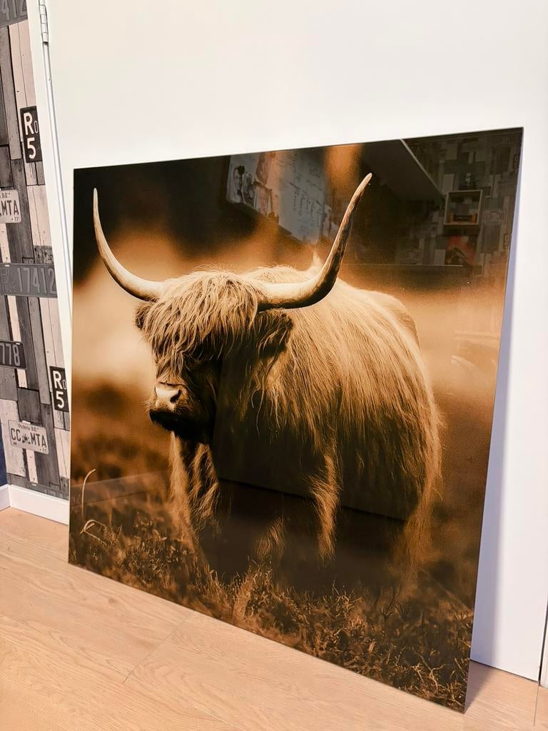 Canvas 80x80, Huis en Inrichting, Woonaccessoires | Schilderijen, Tekeningen en Foto's, Ophalen, Zo goed als nieuw, Schilderij