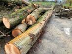 Stammenhout, Ophalen of Verzenden, Zo goed als nieuw, 250 cm of meer, Palen