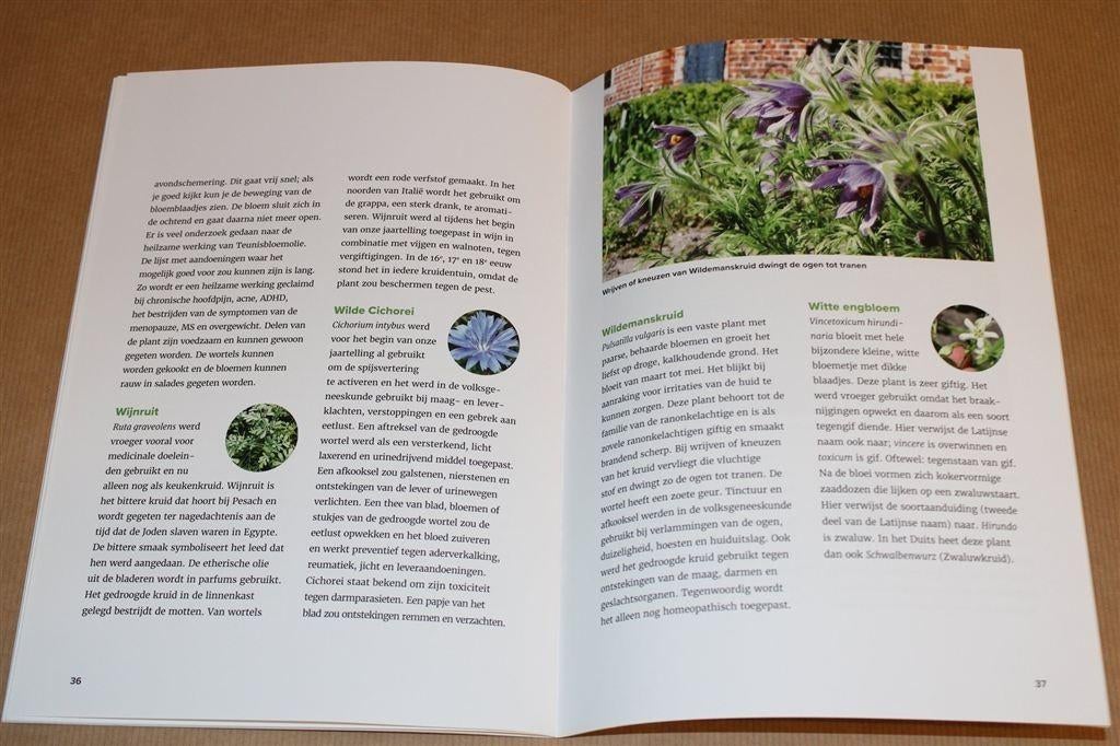 Van Akelei tot Nieswortel — Kruidentuin Klooster Ter Apel, Boeken, Ophalen of Verzenden, Zo goed als nieuw