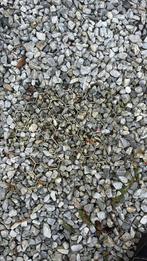 Grijs grind voor oprit of tuin, Tuin en Terras, Grind, Keien en Split, Ophalen, Gebruikt, Grijs, Grind