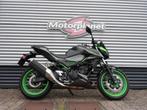 KAWASAKI Z 500 - 2024, Motoren, Bedrijf, 451 cc, Toermotor, 12 t/m 35 kW