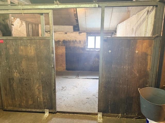 Paardenstalling te huur, Dieren en Toebehoren, Weidegang, 1 paard of pony