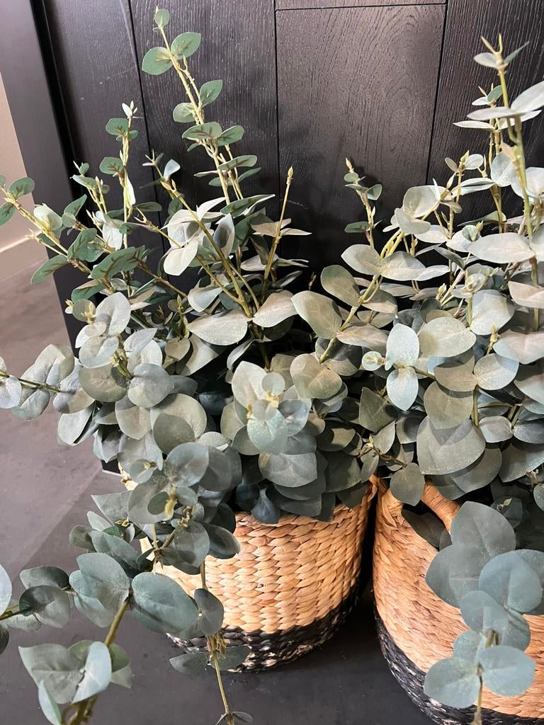 Kunst Eucalyptus, Ophalen, Binnen, Groen, Receptie@gelderschehoutbouw.nl