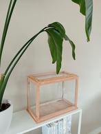 Prachtig vitrine kastje, Ophalen, Nieuw