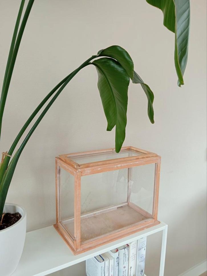 Prachtig vitrine kastje, Huis en Inrichting, Woonaccessoires | Overige, Nieuw, Ophalen