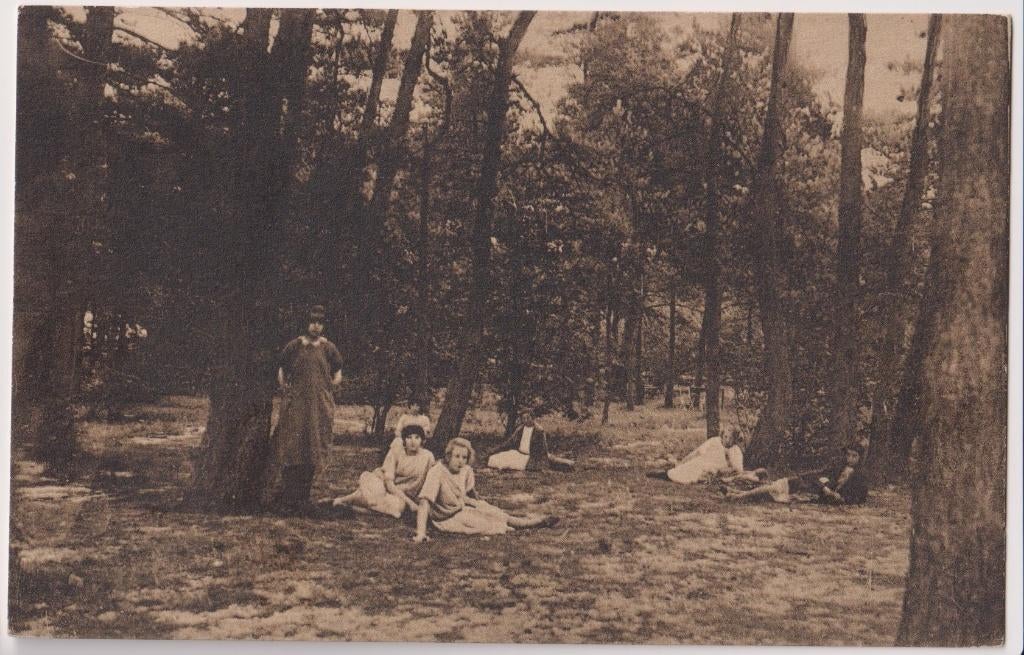258 Hattem In de bosschen met Meisjes Jongens B21, Verzenden, 1920 tot 1940, Ongelopen, Gelderland