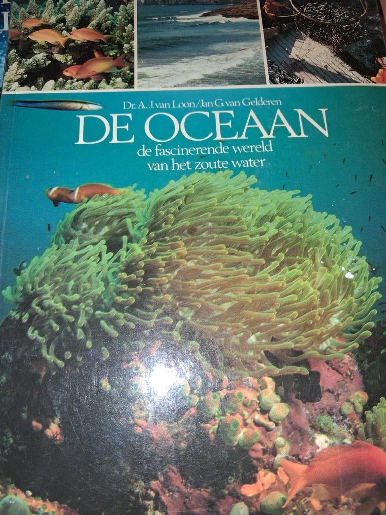 De Oceaan: fascinerende wereld van zout water, Boeken, Natuur, Ophalen of Verzenden
