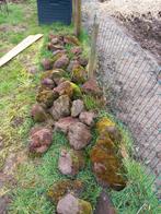 Natuurlijke vulkaanstenen ongeveer 40 stuks   vijver & tuin, Tuin en Terras, Vijvers, Ophalen, Gebruikt