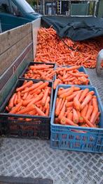 Wortels peen winterwortels Gewassen wortels, Ophalen of Verzenden, Vee