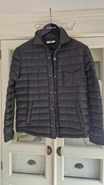 Orginele Balr jas maat S zwart, Kleding | Dames, Ophalen, Zo goed als nieuw, Maat 38/40 (M), Zwart