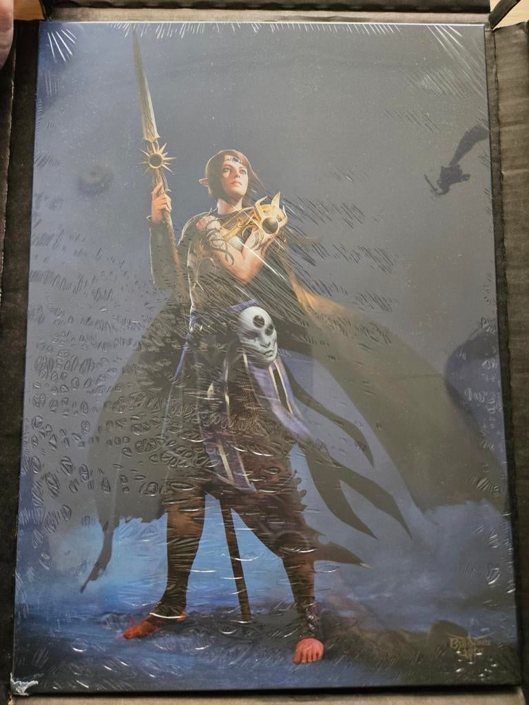 Displate Shadowheart Baldur's Gate - Nieuw in verpakking, Verzamelen, Posters, Ophalen of Verzenden