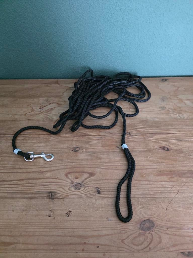 Uitloop riem, Dieren en Toebehoren, Hondenriemen, Ophalen of Verzenden