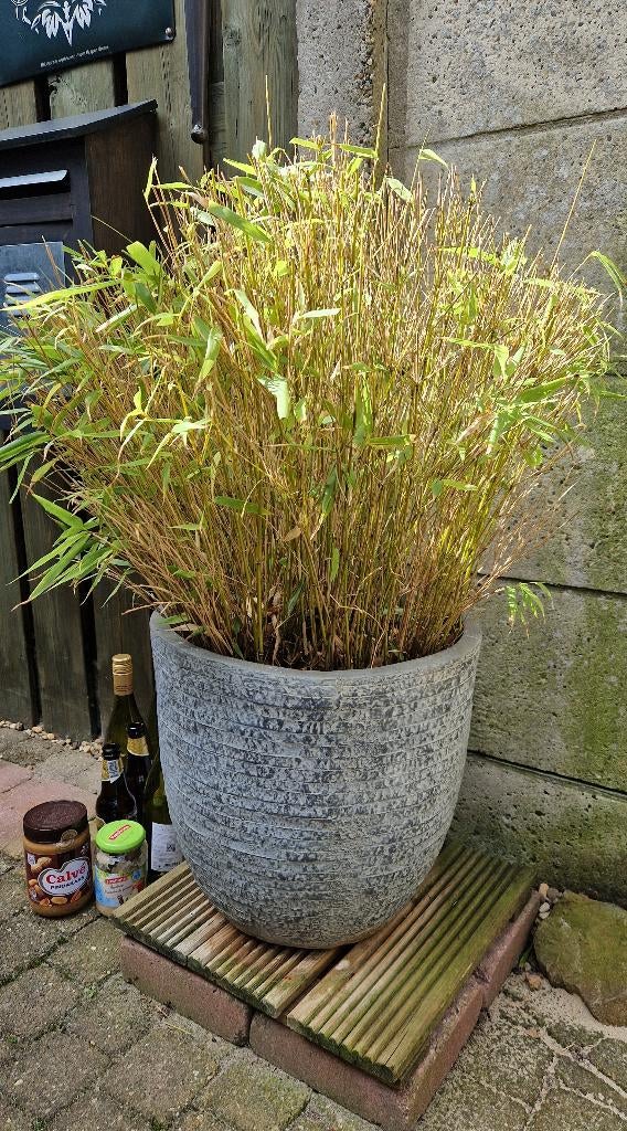 Grote plantenpot met gras/riet, Overige materialen, Rond, Minder dan 40 cm, Balkon