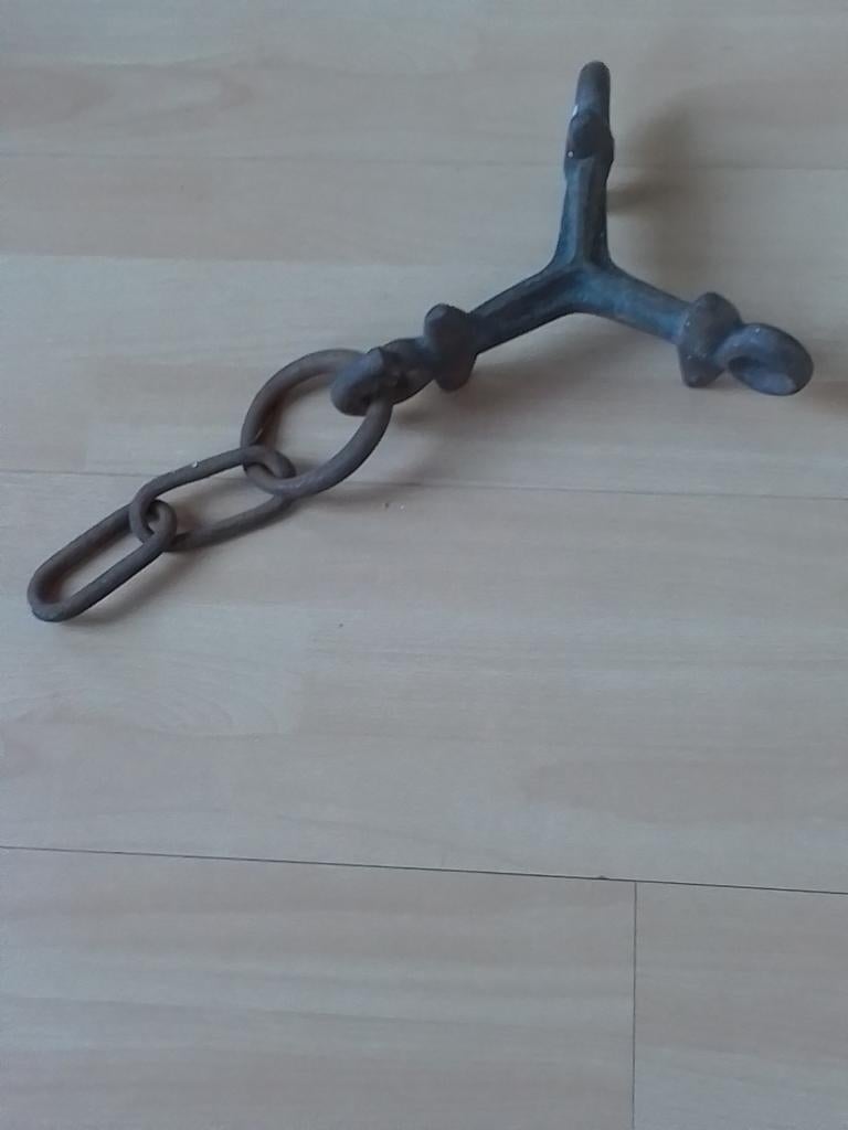 Mooie oude Egge Schalm met ketting, Ophalen of Verzenden