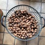 Walnoten gedroogd, Ophalen