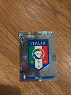 Panini WK 2010, Ophalen of Verzenden, Zo goed als nieuw, Buitenlandse clubs, Poster, Plaatje of Sticker