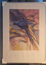 Blauwe Ara Litho door Walty Dudok van Heel, Ophalen of Verzenden