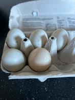 Broedeieren en comsumptie eieren loopeenden, Geslacht onbekend, Eend