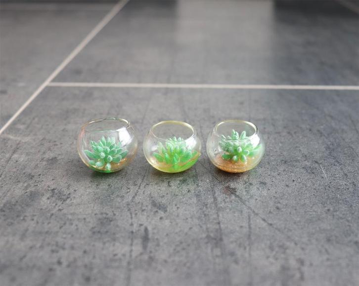 Plant in glazen kom plantje miniatuur nieuw 1:12 Groen, Verzamelen, Poppenhuizen en Toebehoren, Nieuw, Decoratie, Ophalen of Verzenden