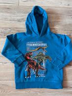Blauwe hoodie met dinosaurusprint voor jongens, Kinderen en Baby's, Kinderkleding | Maat 104, Ophalen of Verzenden, Zo goed als nieuw