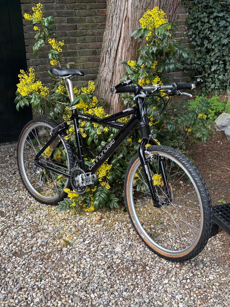 Cannondale Delta V 700, Fietsen en Brommers, Hardtail, Ophalen, Gebruikt, Overige merken