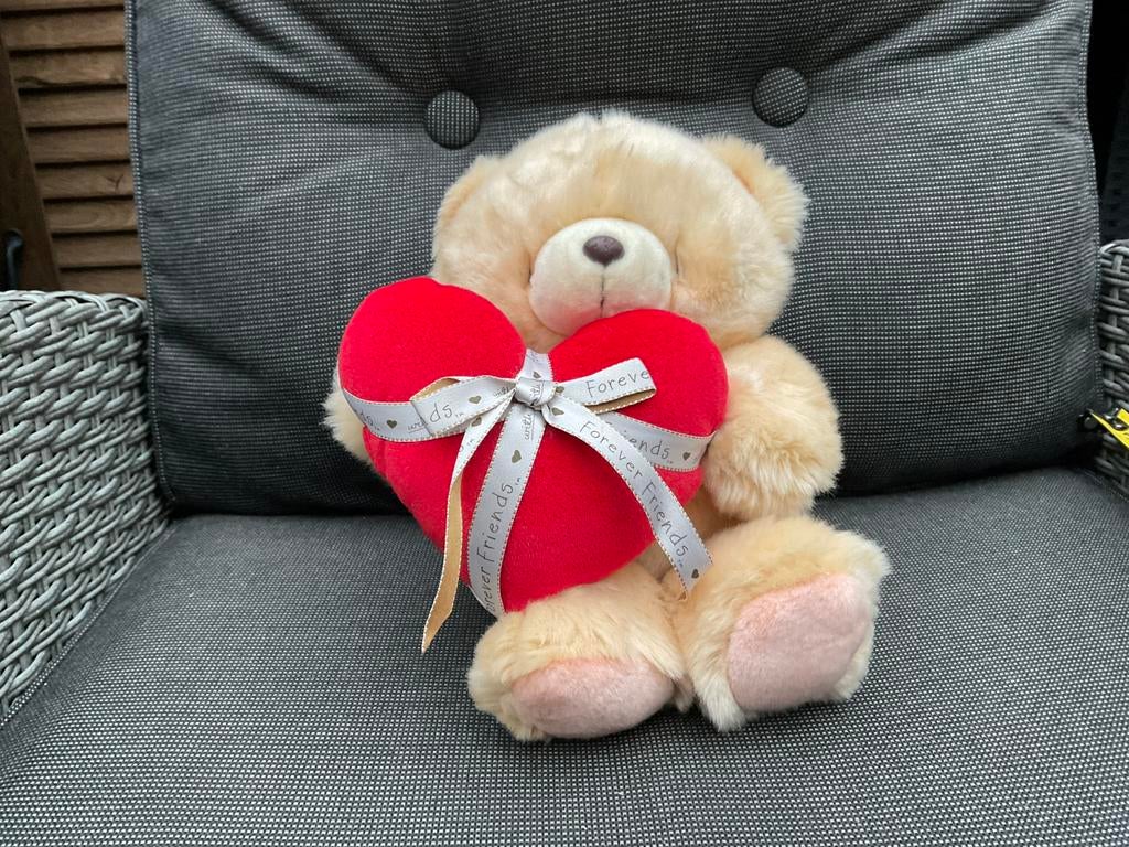 Nieuwe FOREVER FRIENDS beer teddybeer met hartje 25cm, Verzamelen, Beren en Cherished Teddies, Ophalen, Nieuw, Stoffen beer, Forever Friends