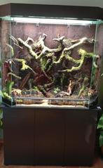 Paludarium, Ophalen, Nieuw, Terrarium of Paludarium