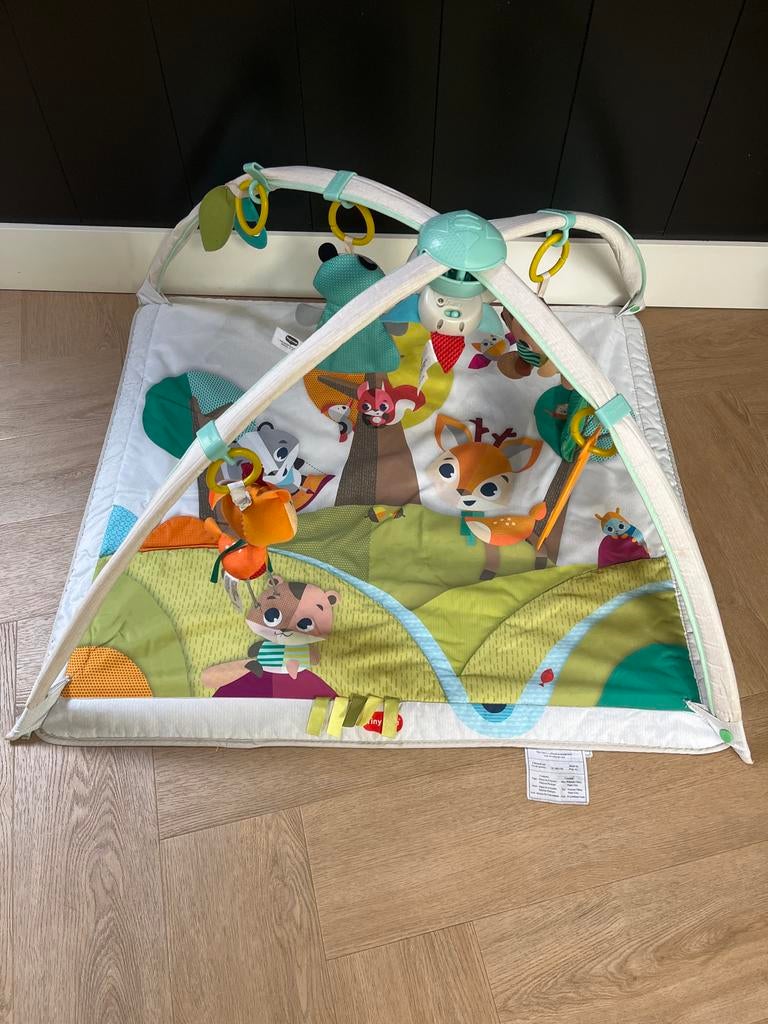 Tiny Love Speelkleed met Babygym en Muziek, Kinderen en Baby's, Speelgoed | Babyspeelgoed, Ophalen, Gebruikt, Babygym, Met licht