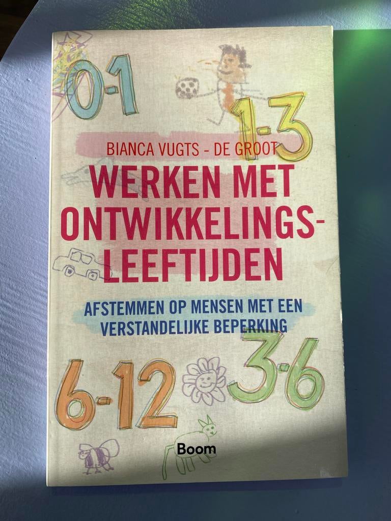 Werken met Ontwikkelingsleeftijden - Bianca Vugts-de Groot, Ophalen of Verzenden, Nieuw