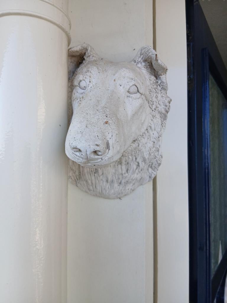 Schotse collie voor aan de muur, Ophalen