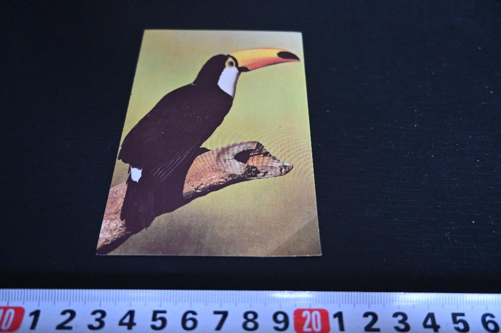sticker Toekan niet van van der Valk, Verzamelen, Ophalen, Zo goed als nieuw