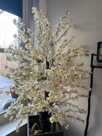 Bloesemboom, Ophalen of Verzenden, Zo goed als nieuw