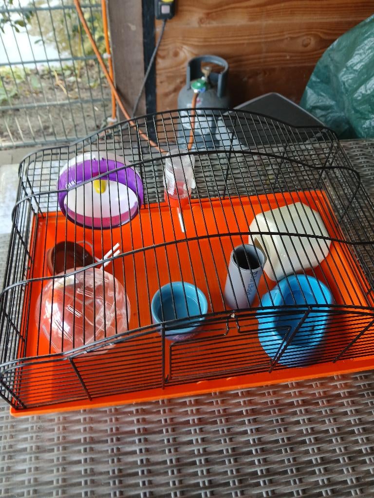 Hamsterkooi, Minder dan 60 cm, Kooi, Minder dan 75 cm, Ophalen of Verzenden