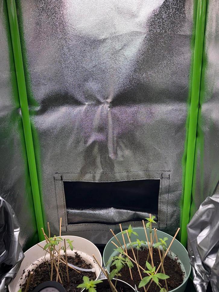 🚨Kweeklamp LED 100W 🚨- Ideaal voor wiet ‼️‼️‼️, Tuin en Terras, Kweekspullen, Nieuw, Kweeklamp, Ophalen