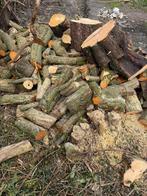 Brandhout, 3 tot 6 m³, Ophalen, Overige houtsoorten, Blokken