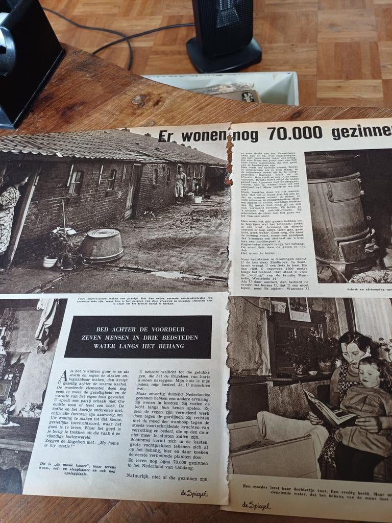 Artikel over mensen in krottenfamilie Munneke Zuidbroek 1955, Ophalen of Verzenden, 1940 tot 1960, Knipsel(s)