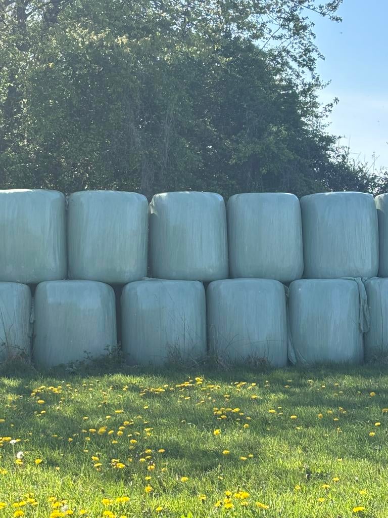 Gratis afhalen hooi, Dieren en Toebehoren, Ophalen, Vee