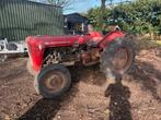 Massey Ferguson 35 Benzine - Oldtimer Tractor, Ophalen