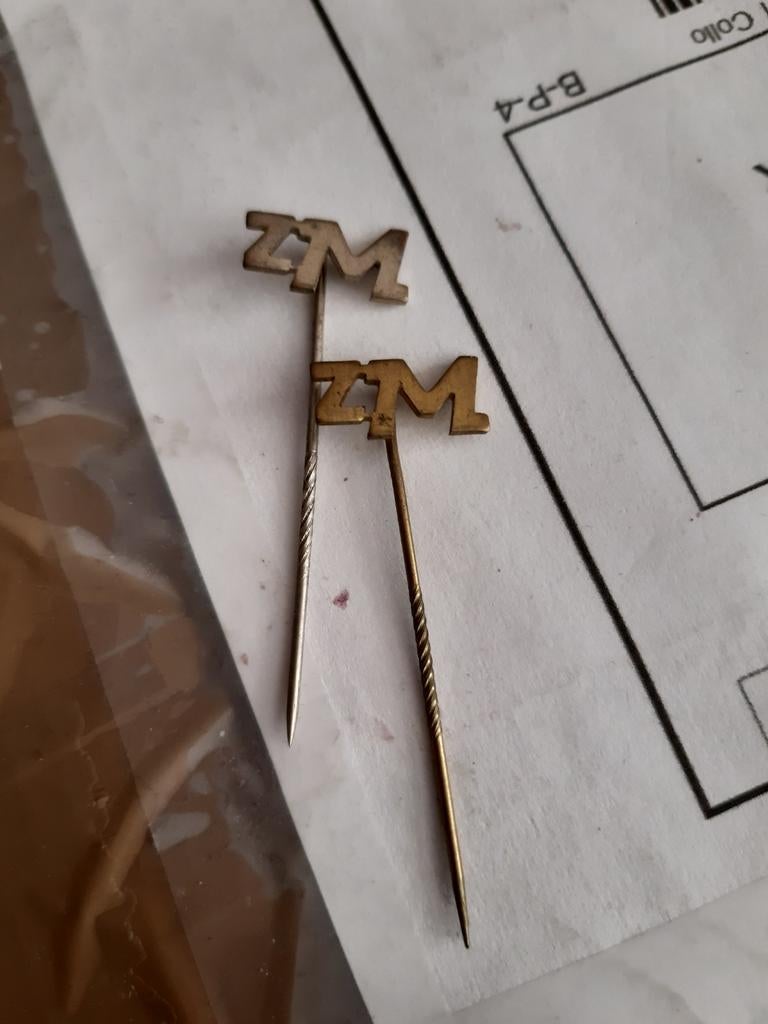 2 Speldjes ZM, Ophalen of Verzenden, Zo goed als nieuw, Sport, Speldje of Pin