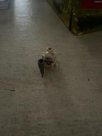 Lego the hobbit Lord of the rings lor031 Gollum / Smeagol, Ophalen of Verzenden, Zo goed als nieuw, Complete set, Lego