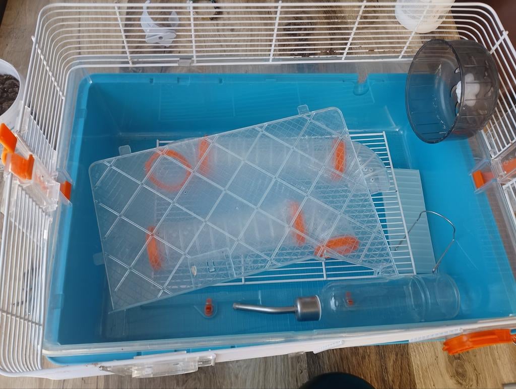 Hamster kooi, Minder dan 60 cm, Kooi, Minder dan 75 cm, Ophalen of Verzenden