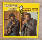 Homesick James & Snooky Pryor, 1960 tot 1980, Ophalen of Verzenden, Zo goed als nieuw, 12 inch