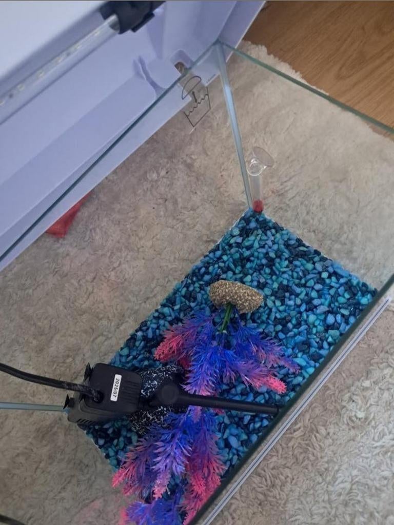 Aquarium, Dieren en Toebehoren, Ophalen, Zo goed als nieuw, Leeg aquarium