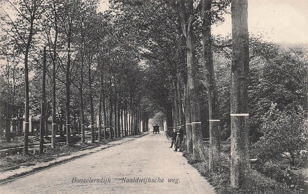 JN1323 Honselersdijk Naaldwijkseweg ca 1910, Ophalen of Verzenden, Voor 1920, Ongelopen, Zuid-Holland