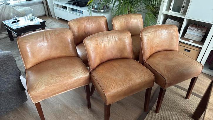 Leren stoelen ‘Key Largo’ van ‘Eichholz’, Huis en Inrichting, Stoelen, Gebruikt, Vijf, Zes of meer stoelen, Leer, Bruin, Ophalen of Verzenden